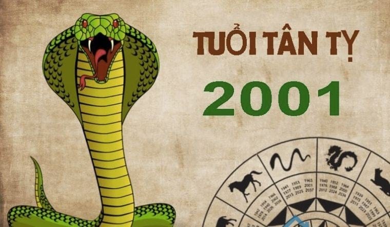 Tử vi tuổi Tân Tỵ 2001 năm 2024 nữ mạng
