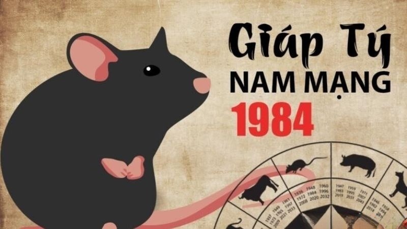 tử vi tuổi Giáp Tý 1984 năm 2024 nam mạng