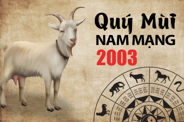 Luận giải chi tiết tử vi tuổi Quý Mùi 2003 năm 2024 nam mạng 