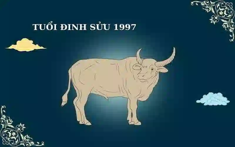 tử vi tuổi Đinh Sửu 1997 năm 2024 nam mạng
