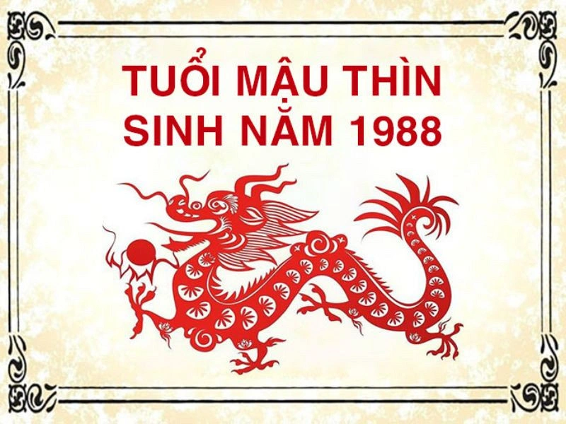 tử vi tuổi Mậu Thìn năm 2024 nữ mạng