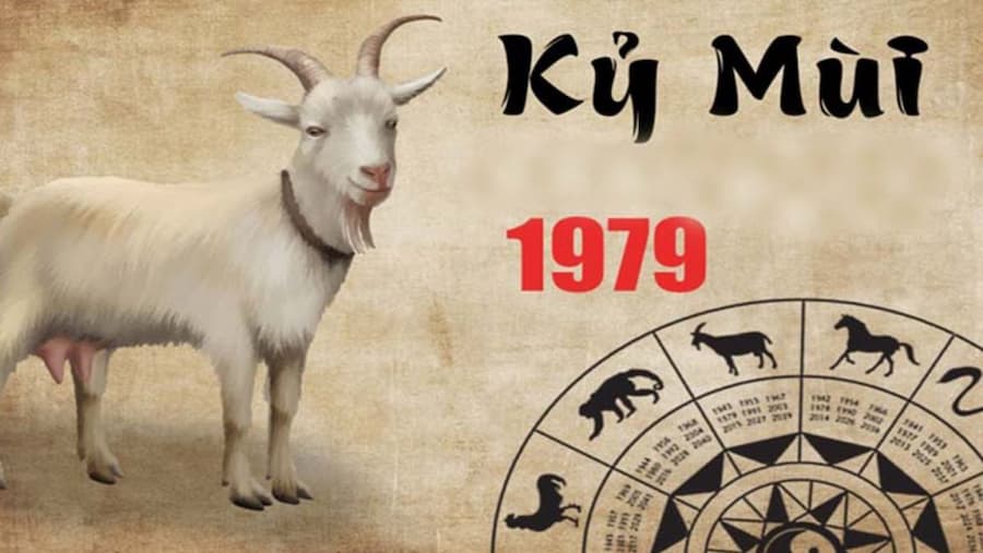 Tổng quan tử vi tuổi Kỷ Mùi 1979 năm 2024 nam mạng