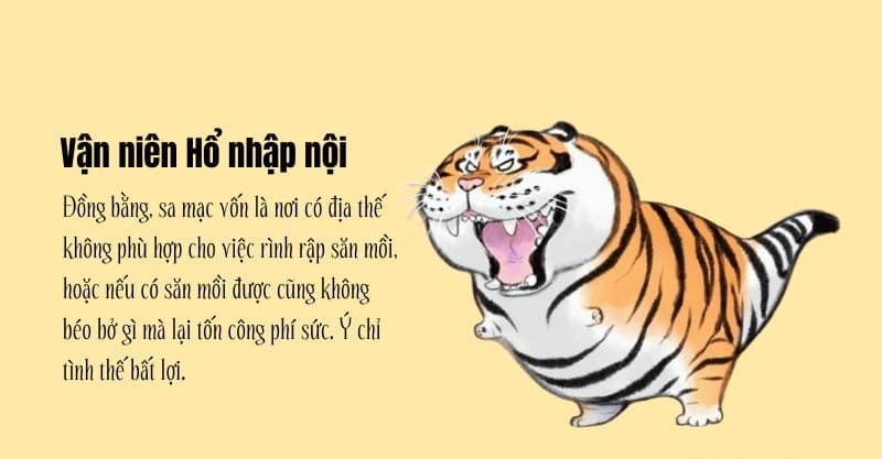 Vận niên Hổ Nhập Nội