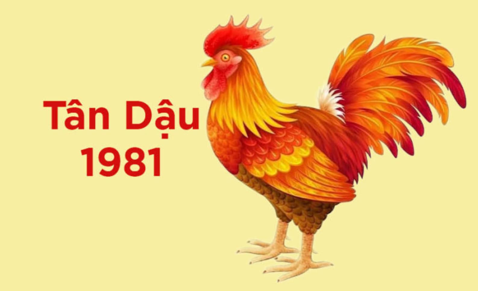 Tổng quan tử vi Tân Dậu 1981 năm 2025 nam mạng