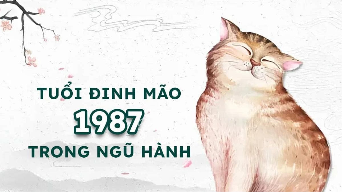 Bật mí tử vi tuổi 1987 nam mạng năm 2025 chính xác nhất